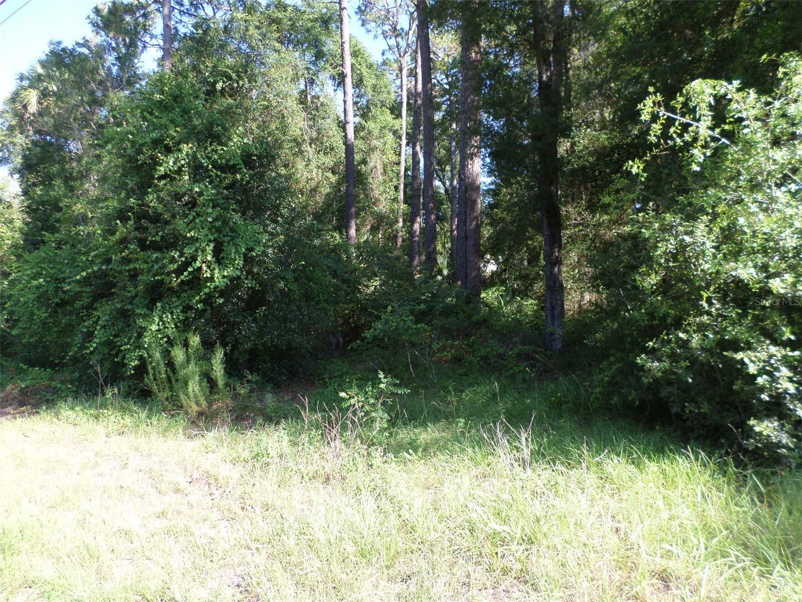 Photo of 00 W. HIGHWAY 40 DUNNELLON FL 34431