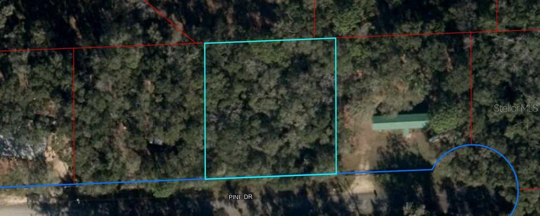 Photo of 285 PINE DRIVE BRONSON FL 32621