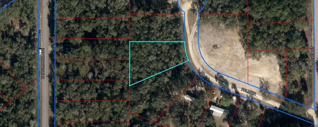 Photo of 145 PALM DRIVE BRONSON FL 32621