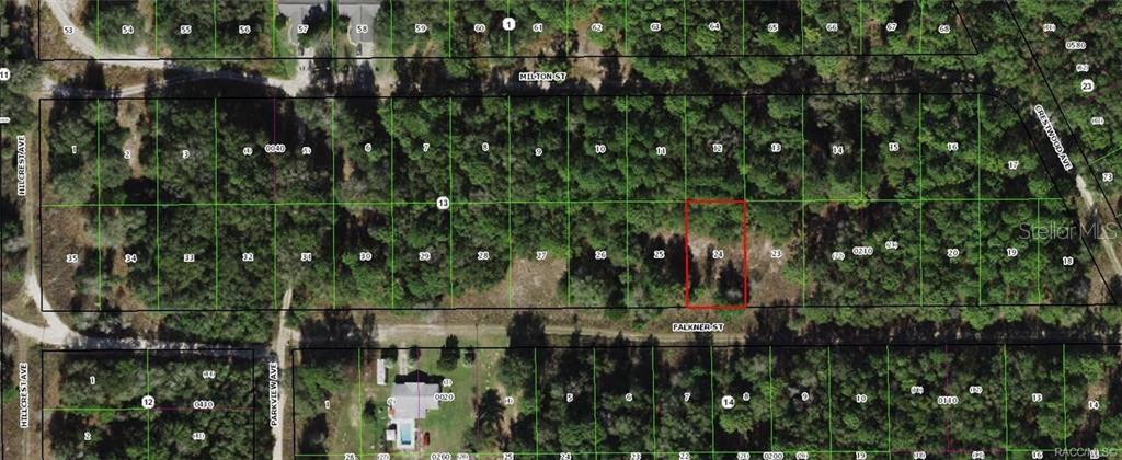 Photo of 1912 FALKNER STREET INVERNESS FL 34453