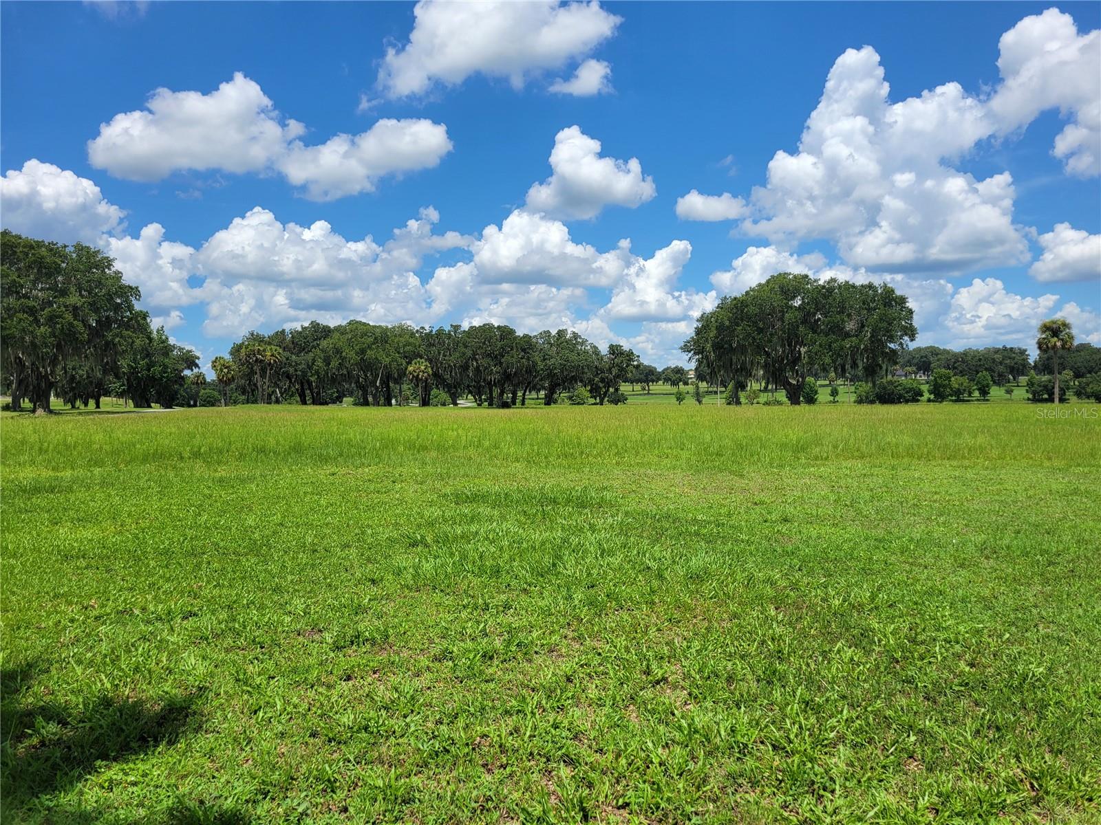 Photo of 0 SE 61ST TERRACE ROAD #16 SUMMERFIELD FL 34491