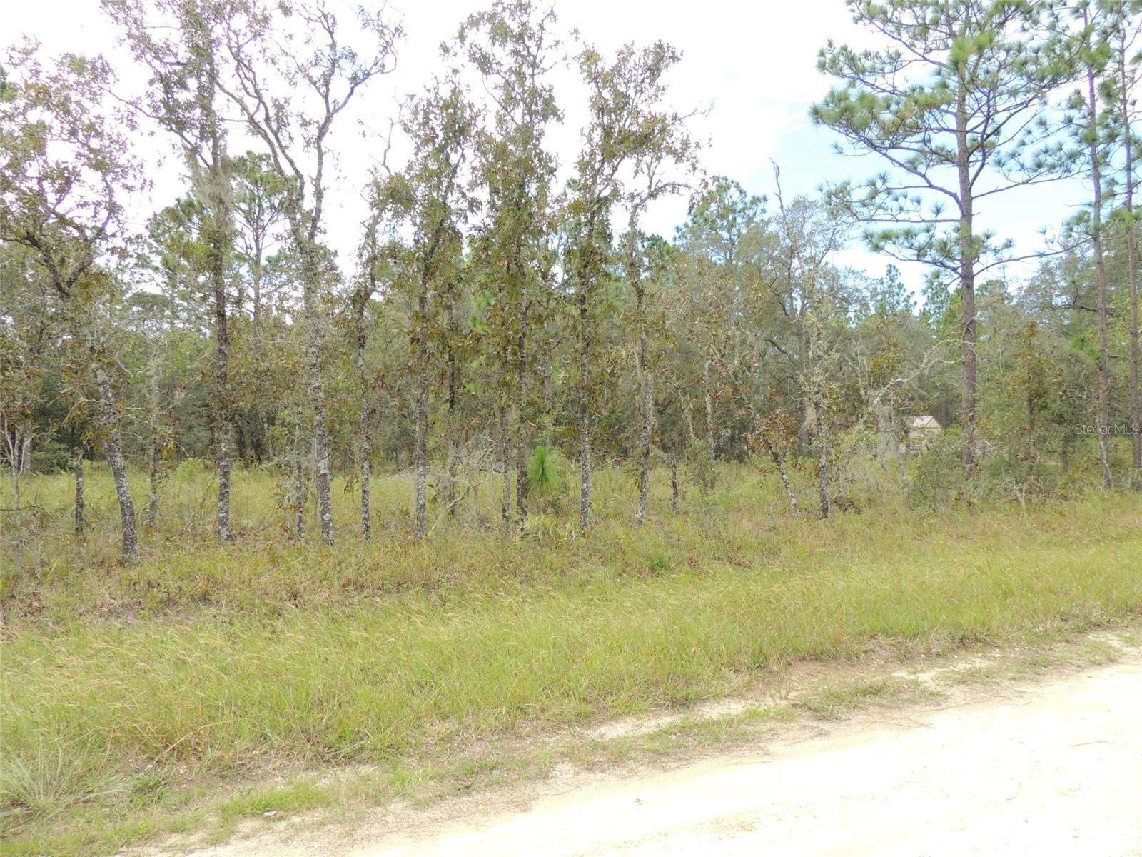 Photo of 690 NE 135TH COURT WILLISTON FL 32696