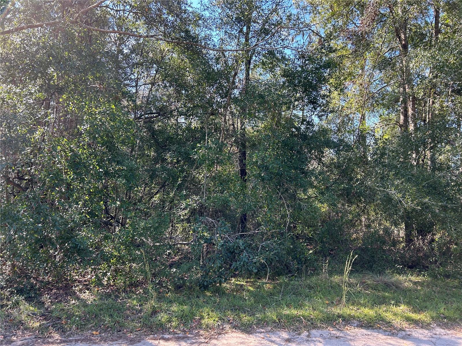 Photo of TBD NE 138TH TERR WILLISTON FL 32696