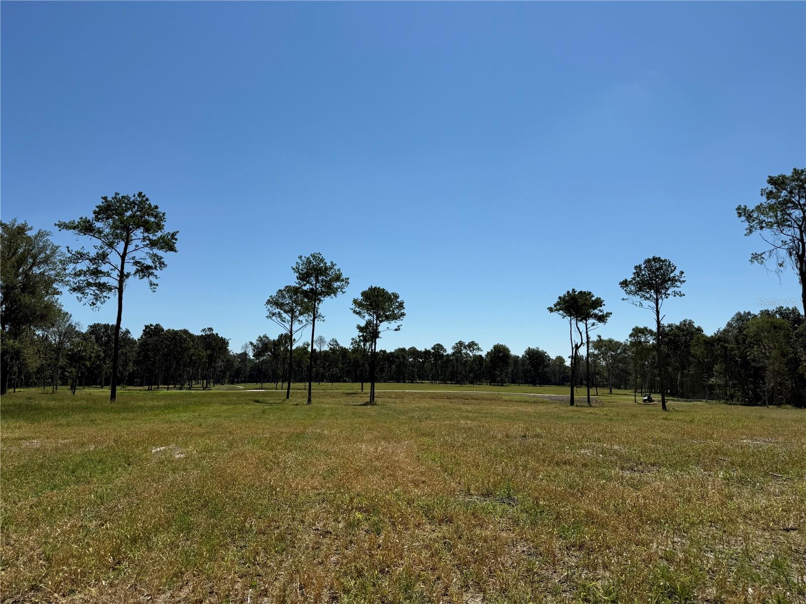 Photo of 84ac NW 193RD ST MICANOPY FL 32667