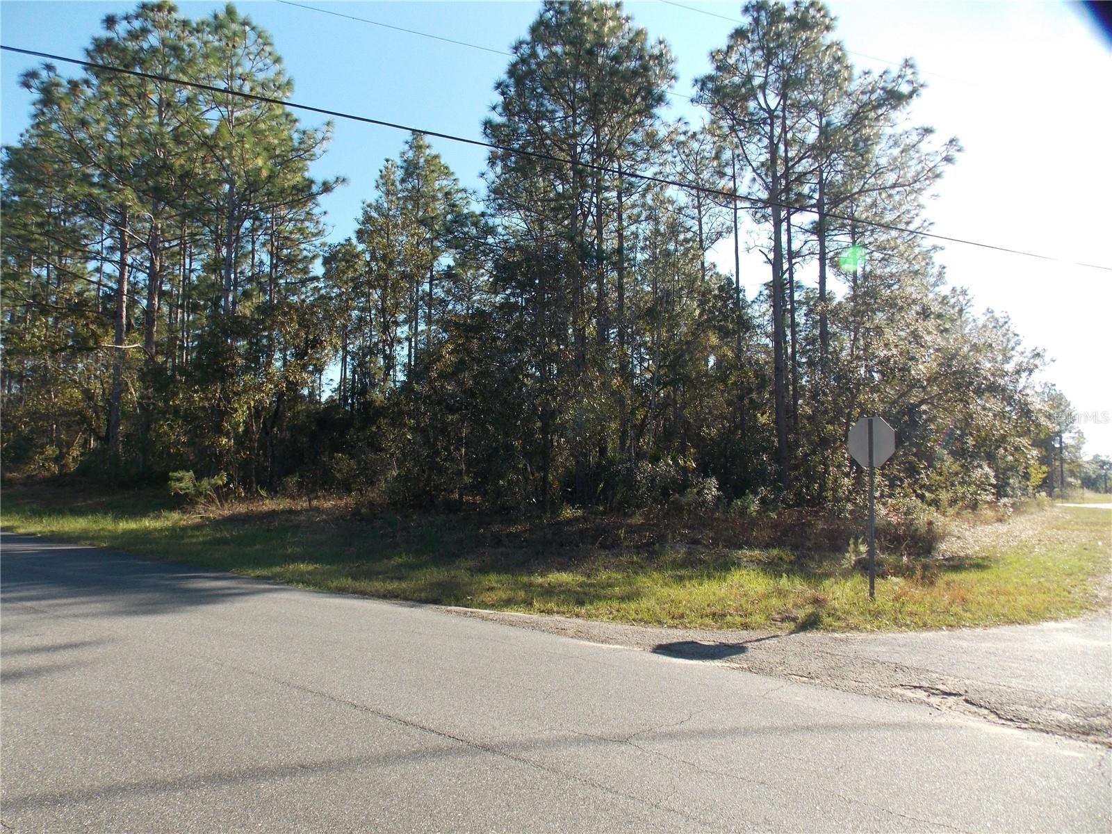 Photo of 9432 N CHERRY LAKE DRIVE CITRUS SPRINGS FL 34433
