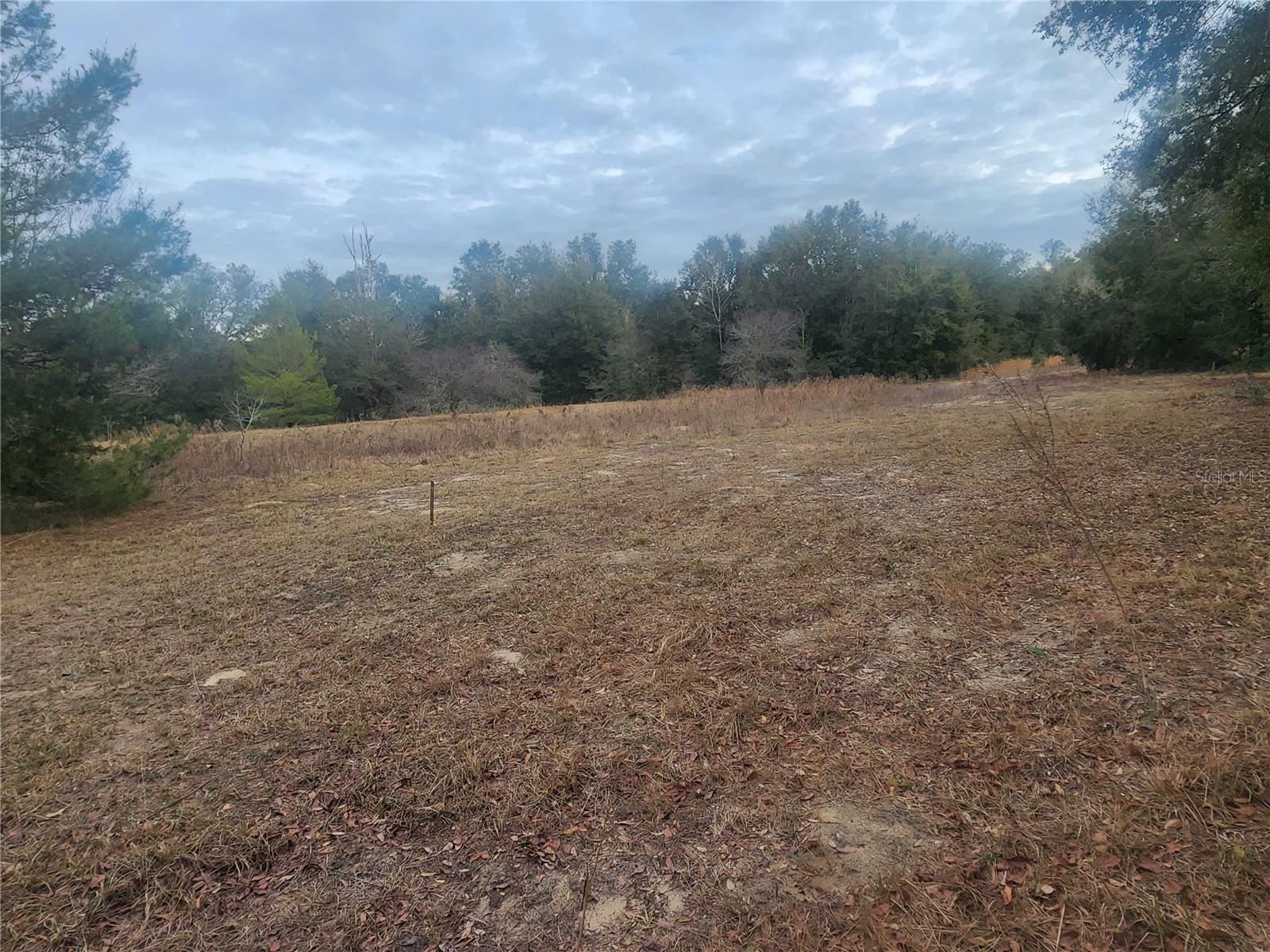Photo of 2407 JACKSON STREET INVERNESS FL 34453