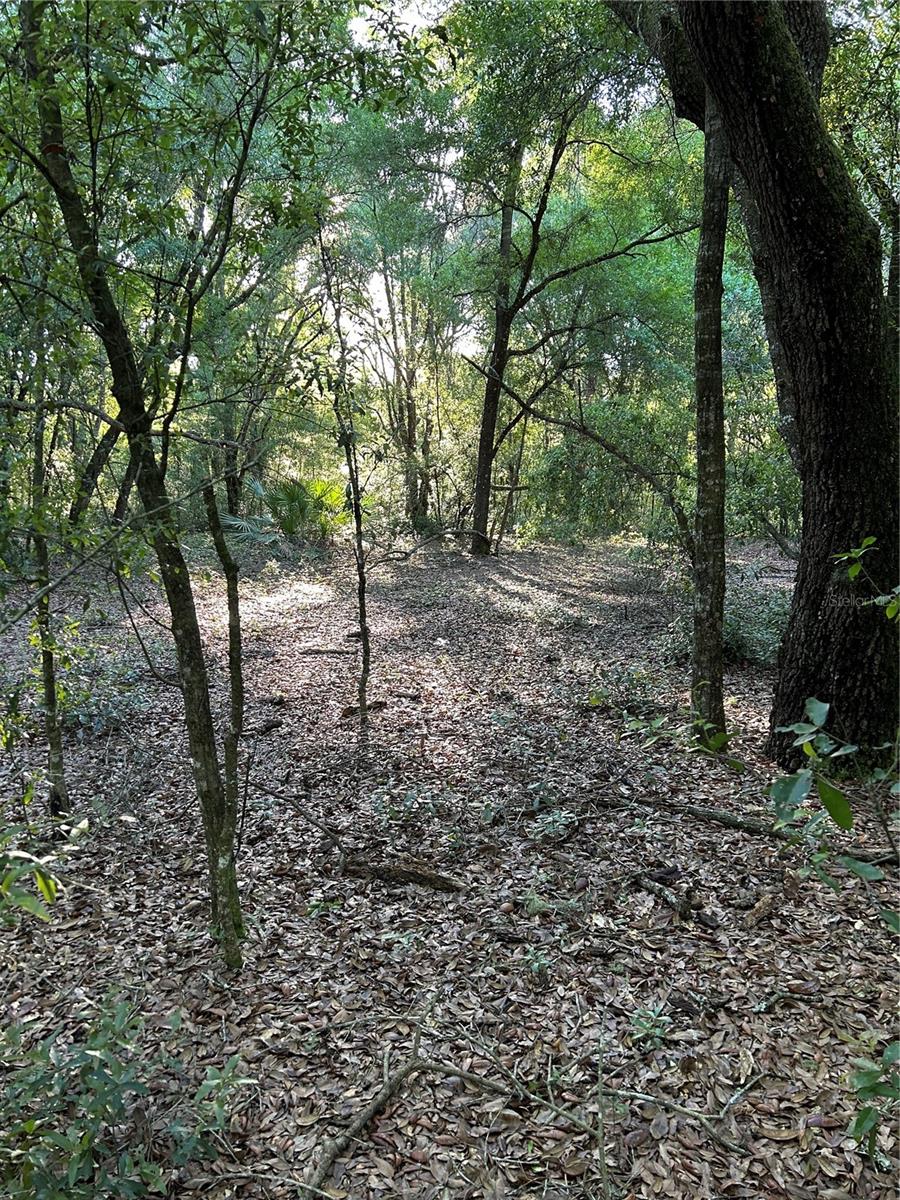 Photo of SW HWY 484 DUNNELLON FL 34432