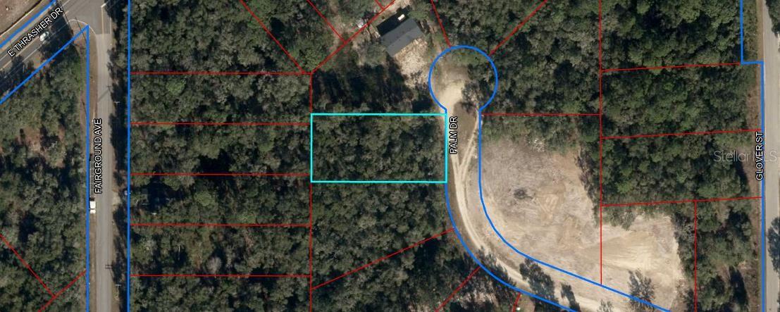 Photo of 155 PALM DRIVE BRONSON FL 32621
