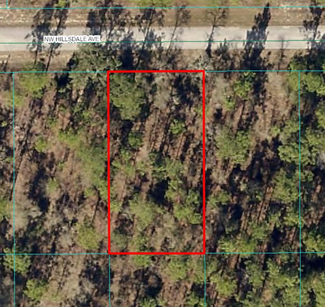 Photo of Lot 15 NW HILLSDALE AVENUE #Lot #15 DUNNELLON FL 34431