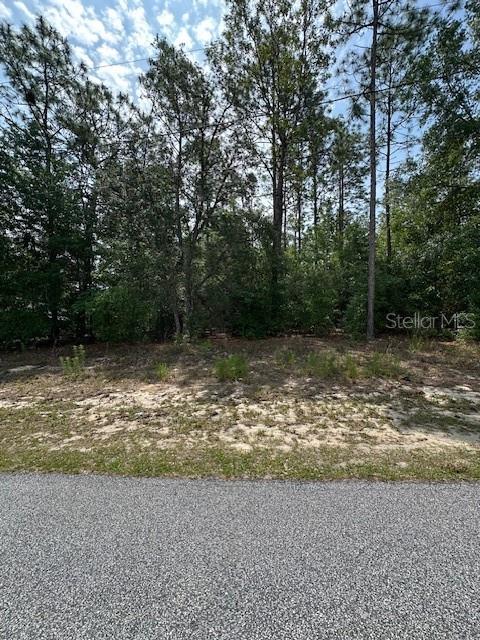 Photo of 920 W RUM PLACE DUNNELLON FL 34434