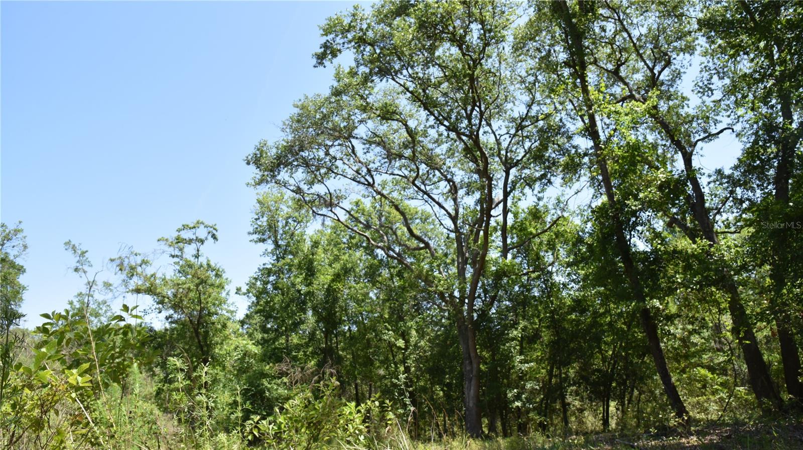 Photo of 21312 NE 69TH PLACE MELROSE FL 32666