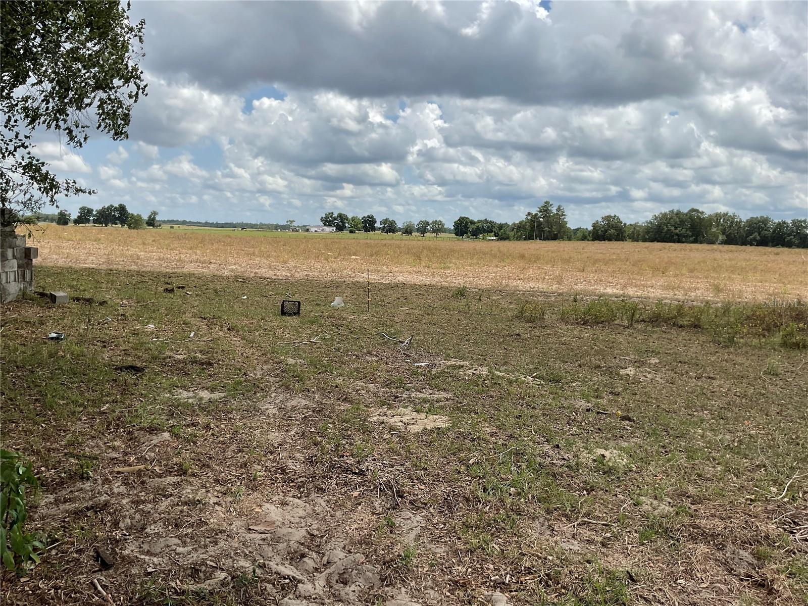 Photo of NE 46TH LANE BRONSON FL 32621