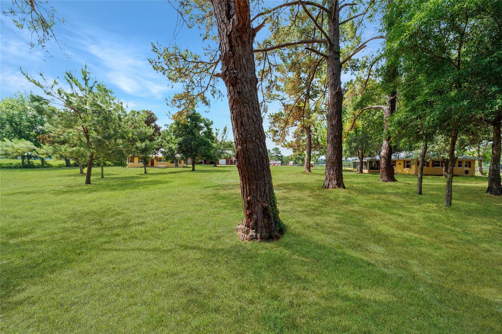 Photo of 16520 NW 170TH STREET WILLISTON FL 32696
