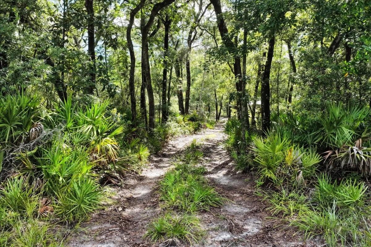 Photo of 0000 SW COUNTY ROAD 347 CHIEFLAND FL 32626