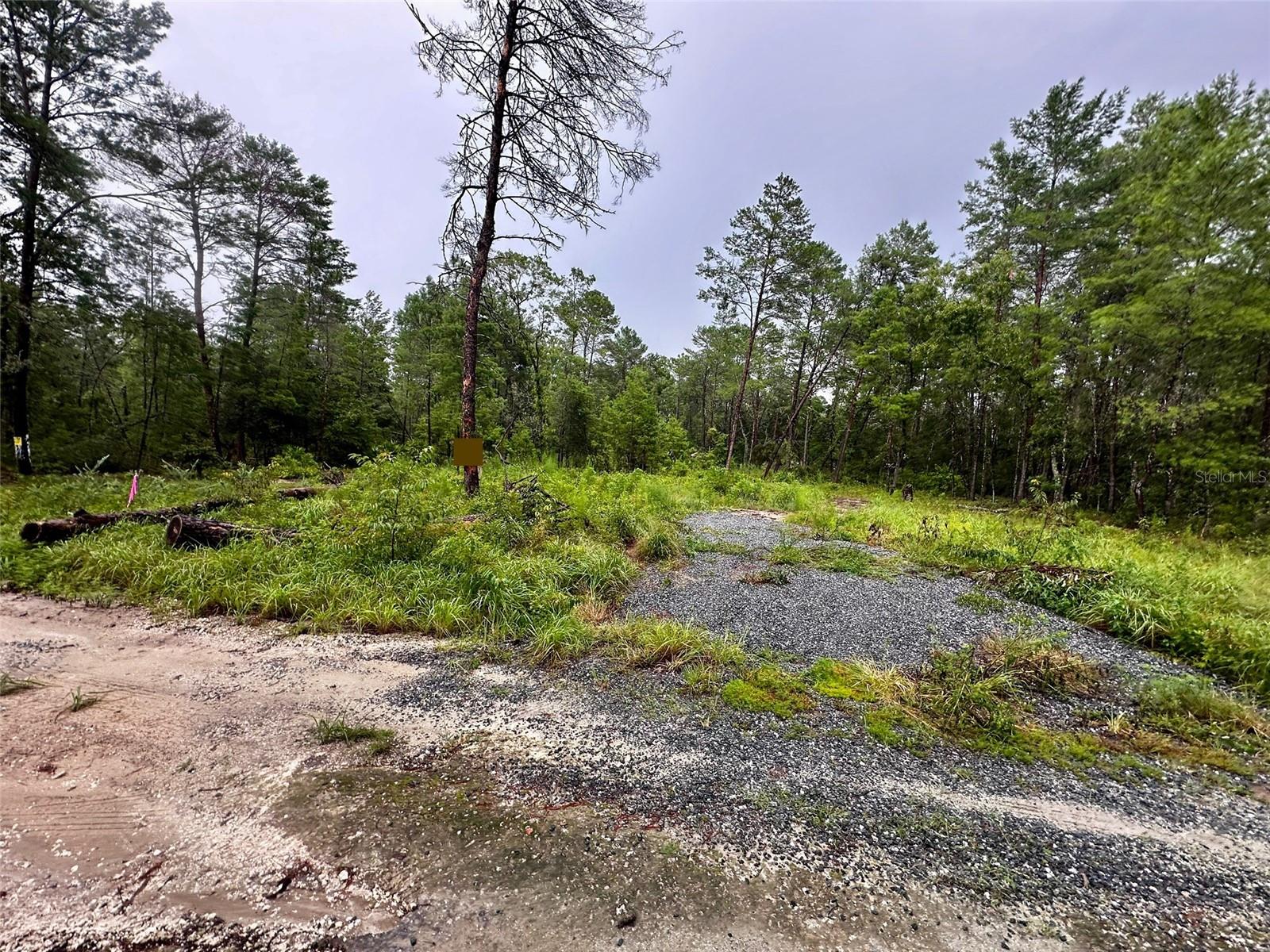 Photo of NE 112TH CT FORT MC COY FL 32134