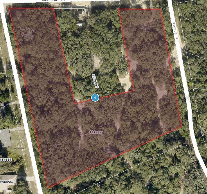 Photo of TBD MAGNOLIA STREET LADY LAKE FL 32159