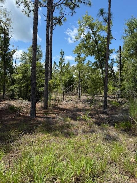 Photo of 115 S DAKOTA STREET HAWTHORNE FL 32640