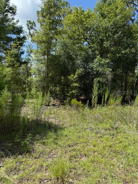 Photo of 113 S DAKOTA STREET HAWTHORNE FL 32640
