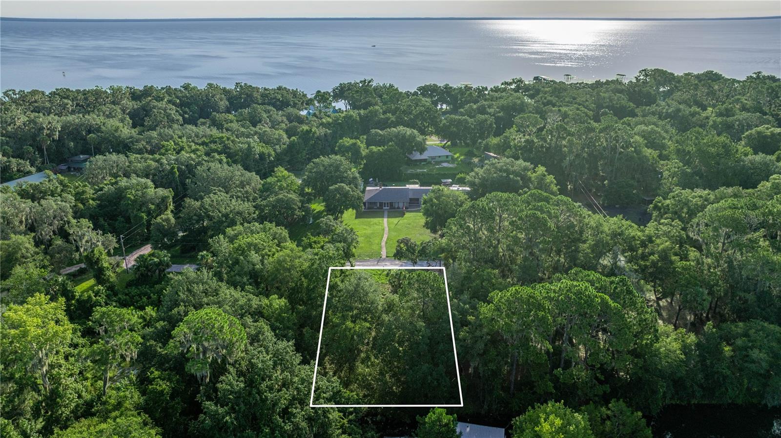 Photo of TBD NE 303RD COURT SALT SPRINGS FL 32134