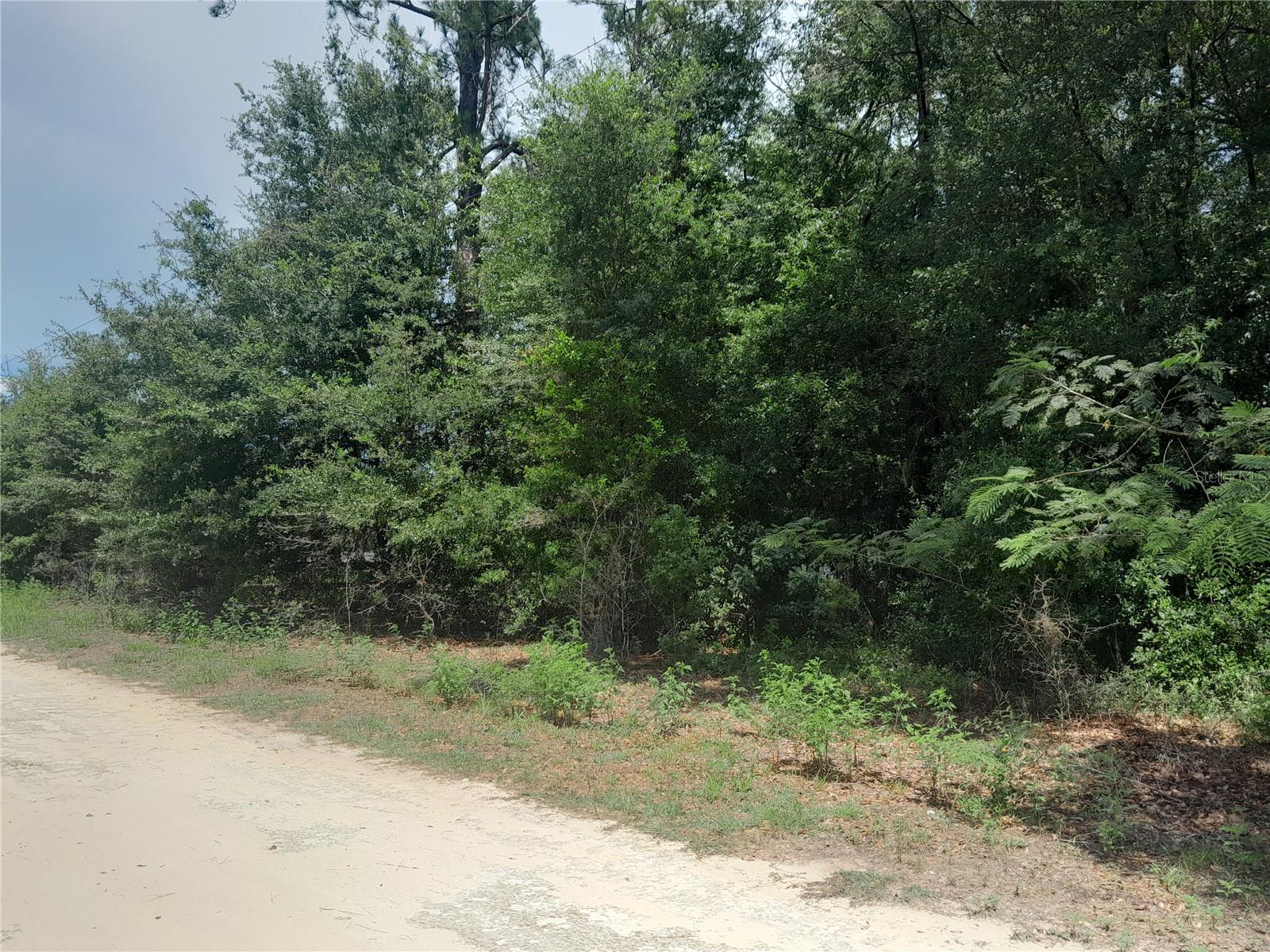 Photo of SE 108TH TERRACE MORRISTON FL 32668
