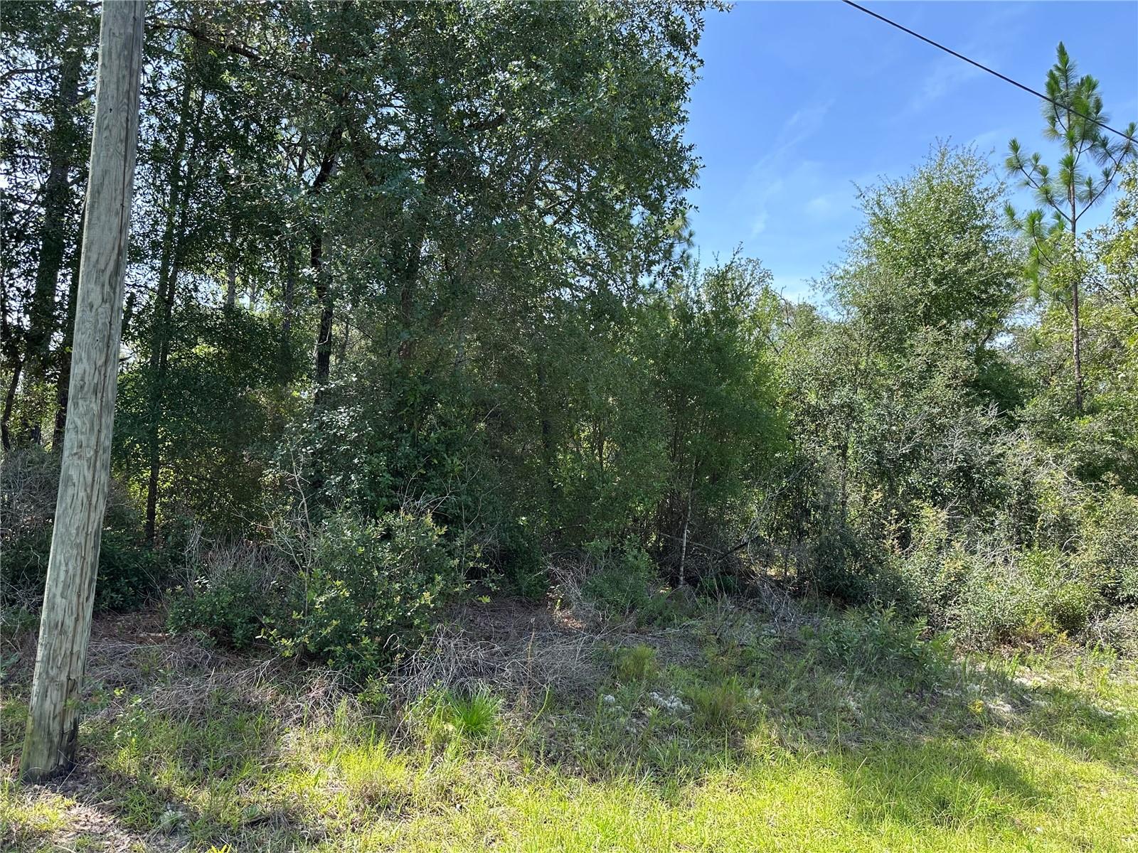 Photo of 1498 E CARSON ROAD DUNNELLON FL 34434