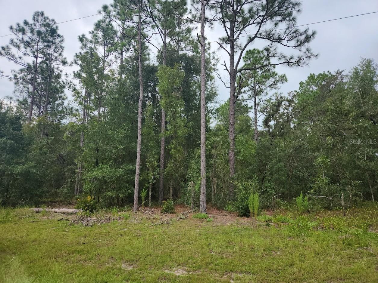 Photo of lot 24 SW 89TH CIRCLE OCALA FL 34473