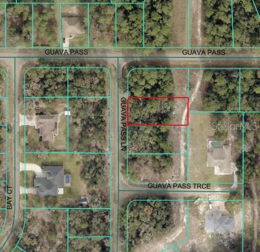 Photo of GUAVA PASS LANE OCKLAWAHA FL 32179
