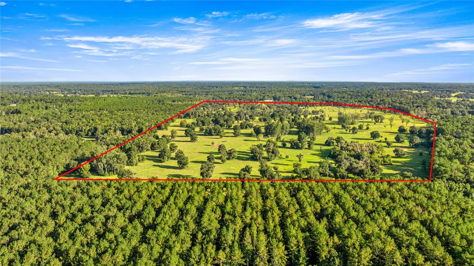 Photo of 17748 N HWY 329 REDDICK FL 32686