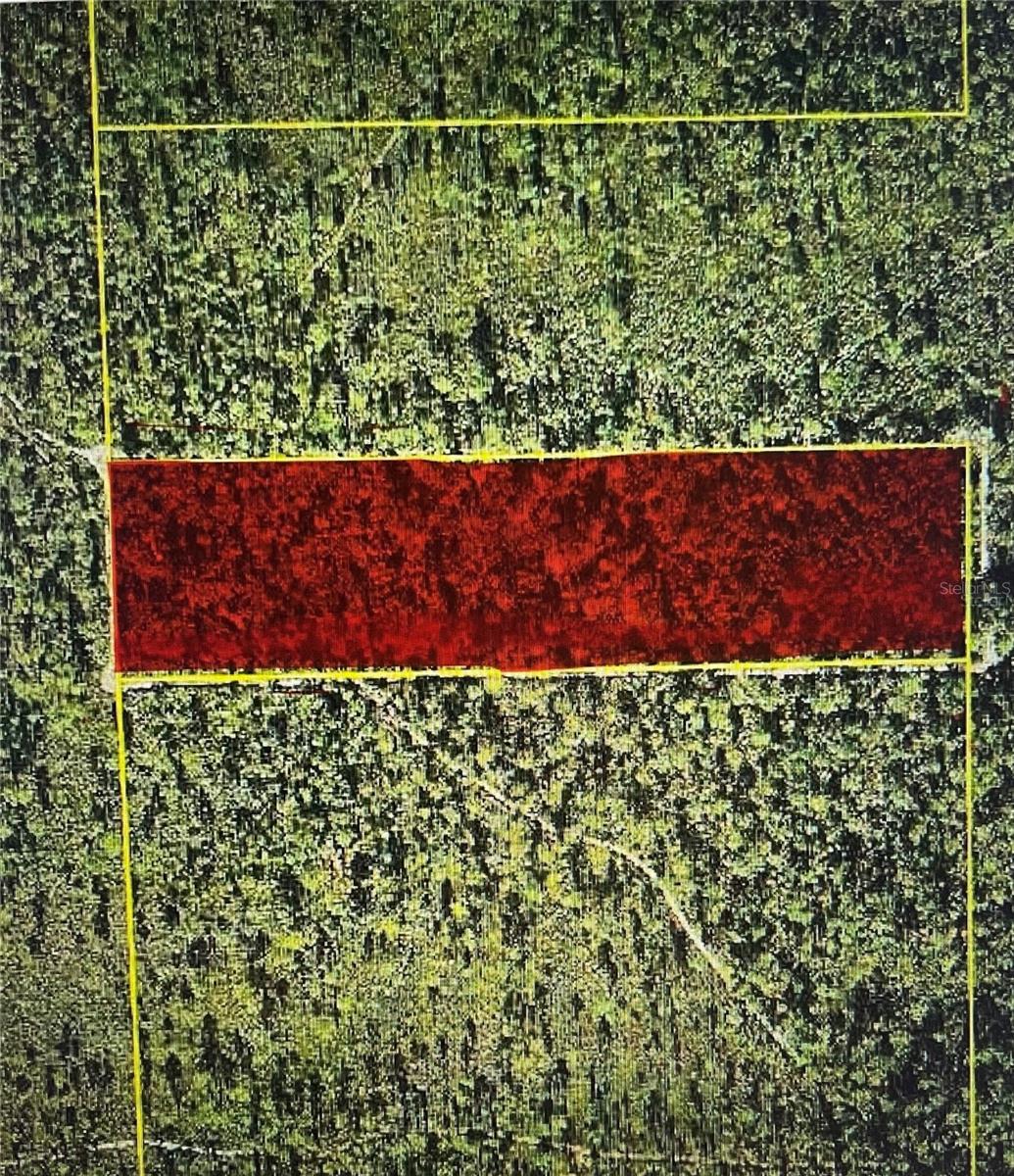 Photo of TBD NE NE 144TH TERR SILVER SPRINGS FL 34488