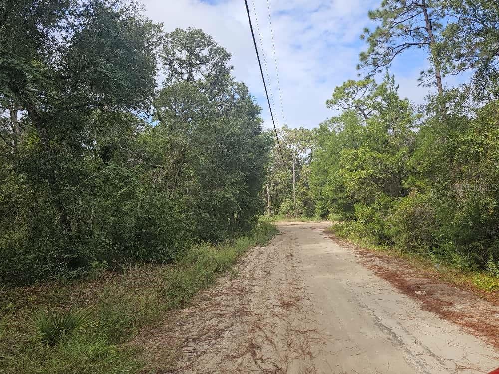 Photo of SE 92ND PLACE OCKLAWAHA FL 32179
