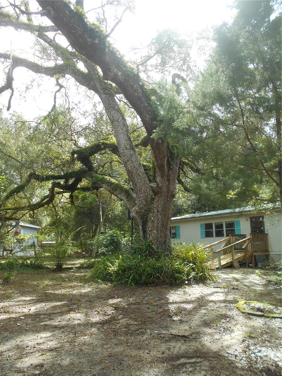 Photo of 20425 NE 143RD STREET SALT SPRINGS FL 32134