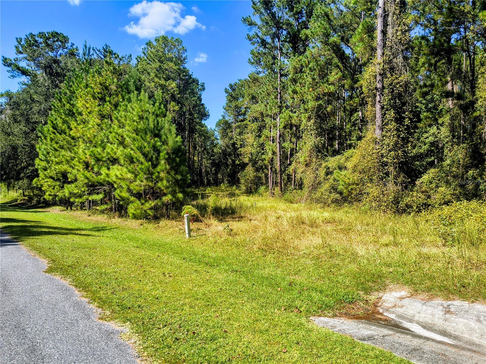 Photo of NW 148TH LANE WILLISTON FL 32696