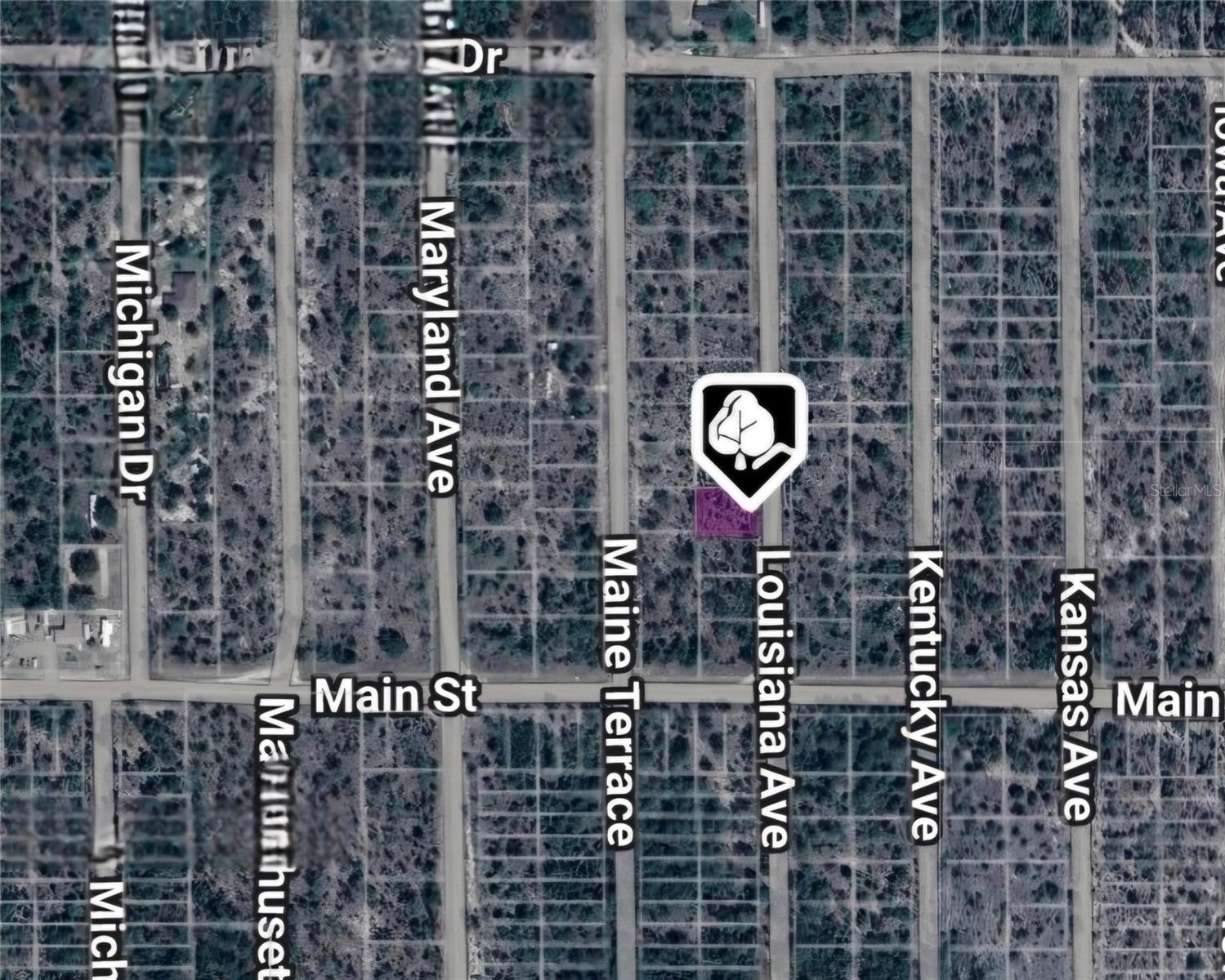 Photo of LOT 19 AND 20 LOUISIANA AVENUE HAWTHORNE FL 32640