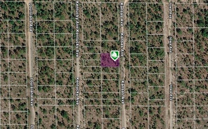 Photo of LOT 8 AND 9 KANSAS AVENUE HAWTHORNE FL 32640
