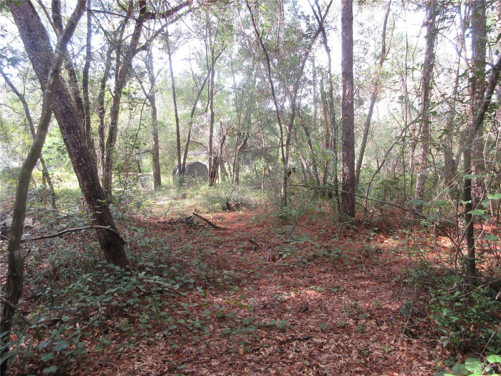 Photo of NE 171ST COURT SILVER SPRINGS FL 34488