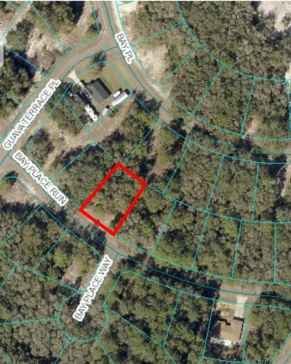Photo of 00 BAY PLACE WAY OCKLAWAHA FL 32179