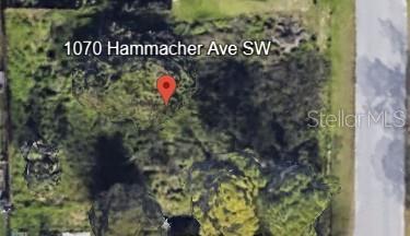 Photo of 1070 HAMMACHER AVENUE PALM BAY FL 32908