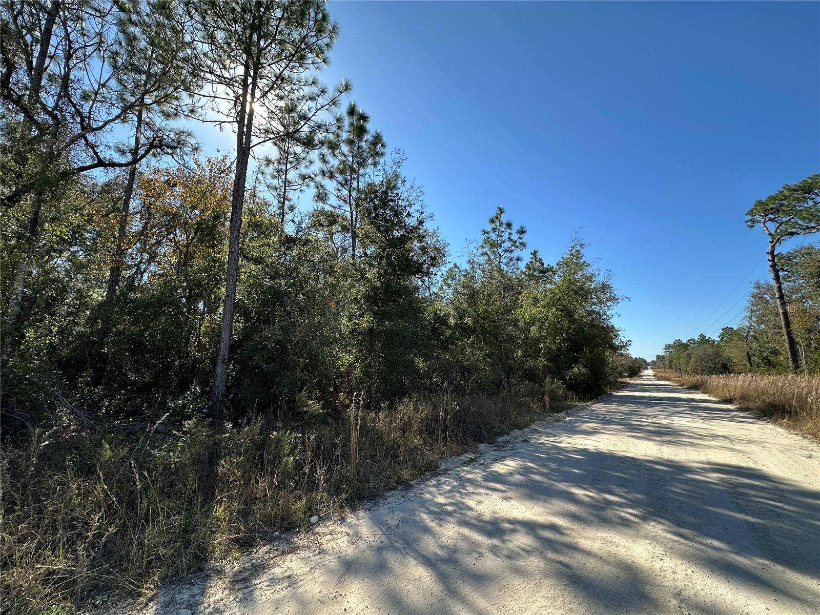 Photo of TBD NE 15TH STREET WILLISTON FL 32696