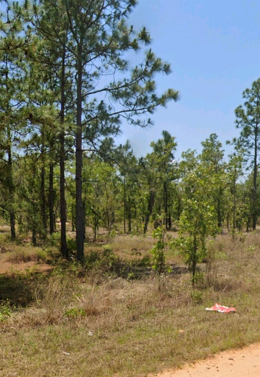 Photo of LOT 14 15 16 AND 17 IDAHO AVENUE HAWTHORNE FL 32640