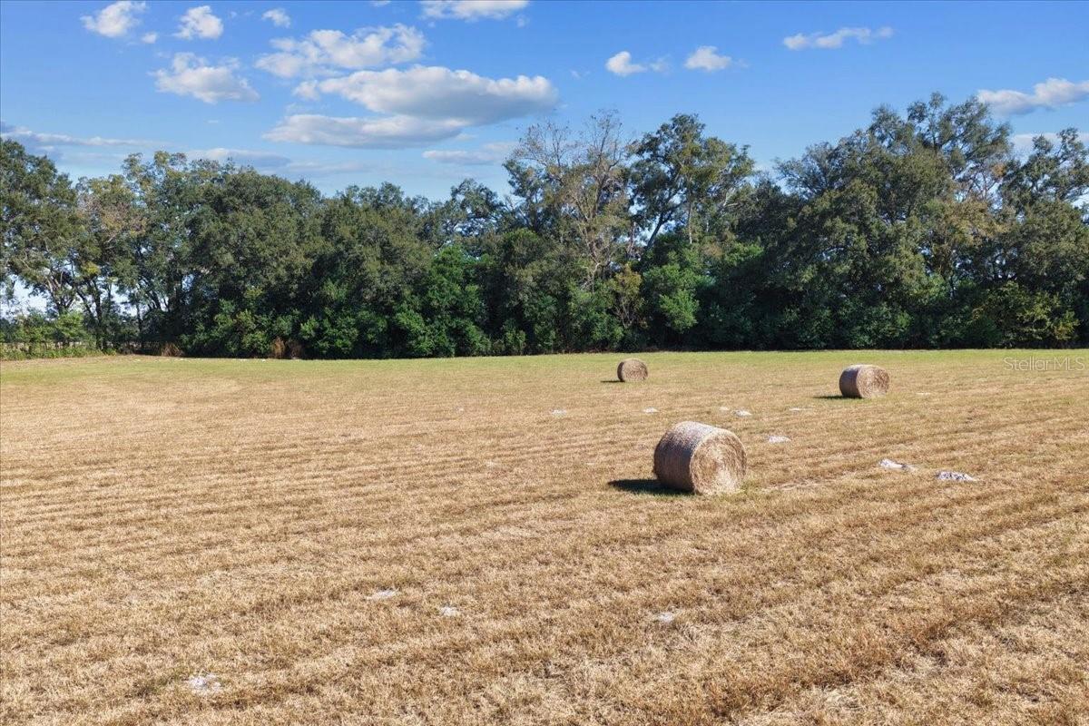 Photo of TBD NE 150 STREET TRENTON FL 32693