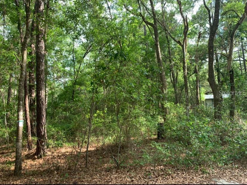 Photo of 0 NE 226TH STREET #58 FORT MC COY FL 32134