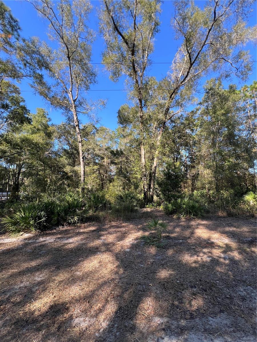 Photo of TBD SE 179TH PLACE SUMMERFIELD FL 34491