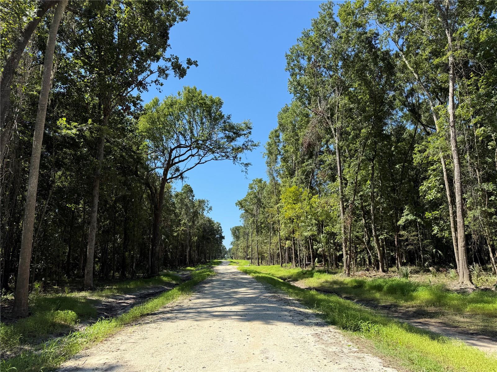 Photo of DR #7 (10ac) NW 193RD ST MICANOPY FL 32667
