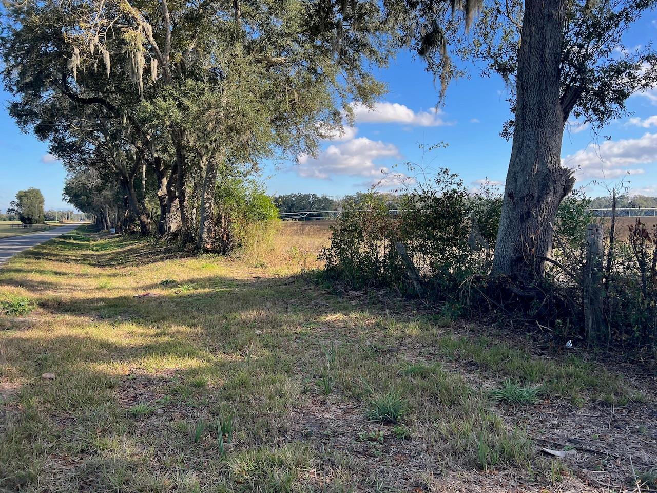 Photo of NE 150 STREET TRENTON FL 32693
