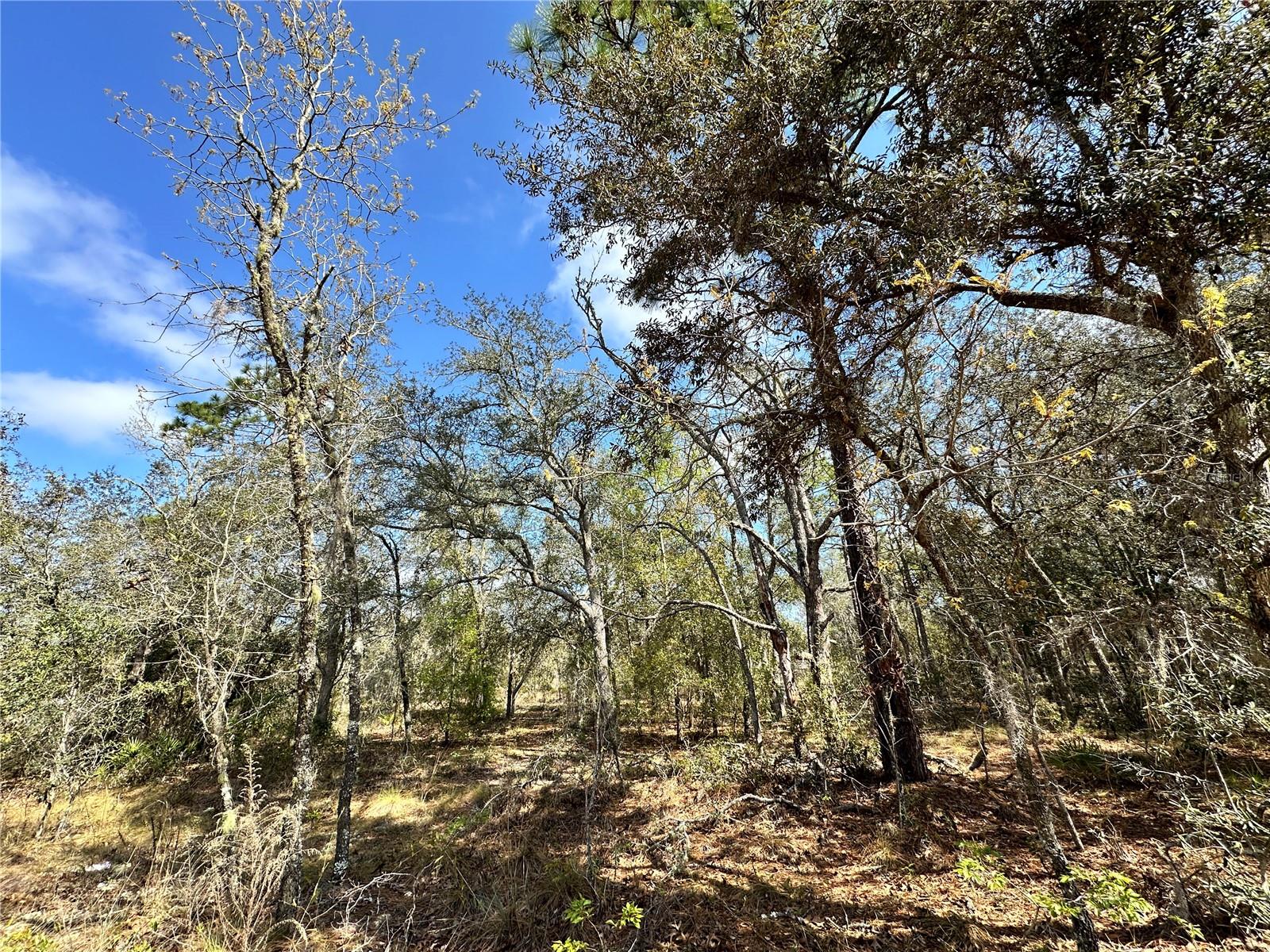 Photo of TBD NE 68TH PLACE BRONSON FL 32621