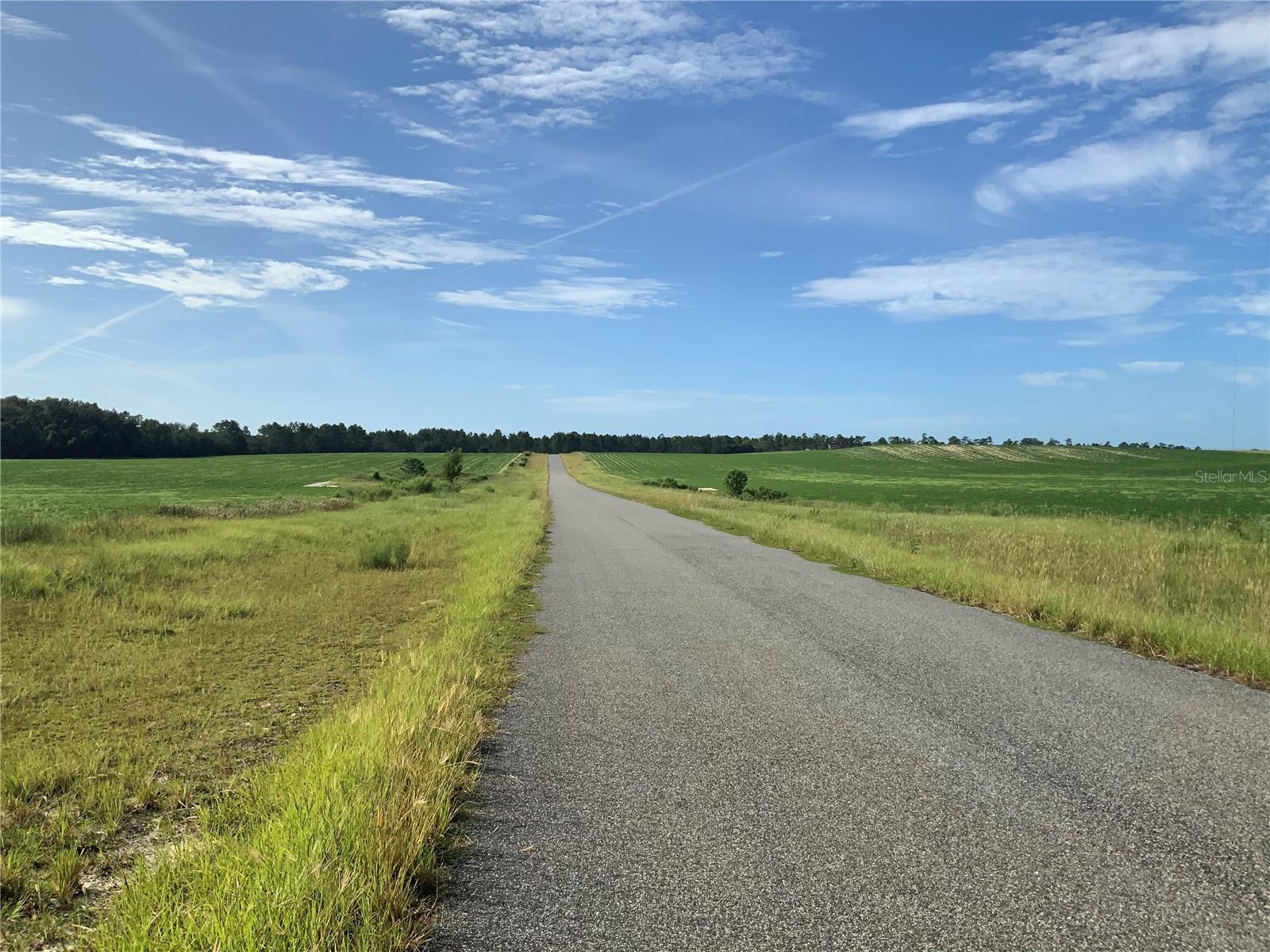 Photo of SE 39TH. LOT 33 STREET MORRISTON FL 32668