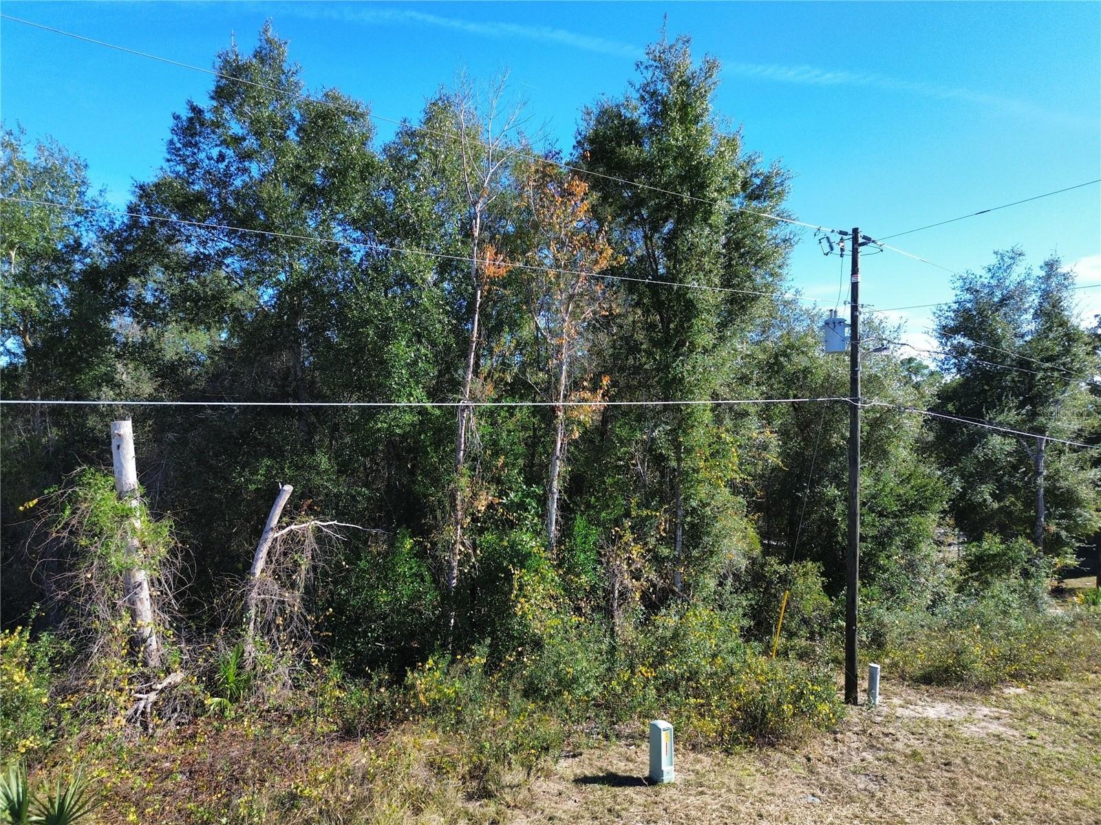 Photo of 0 SE 178TH AVENUE SILVER SPRINGS FL 34488