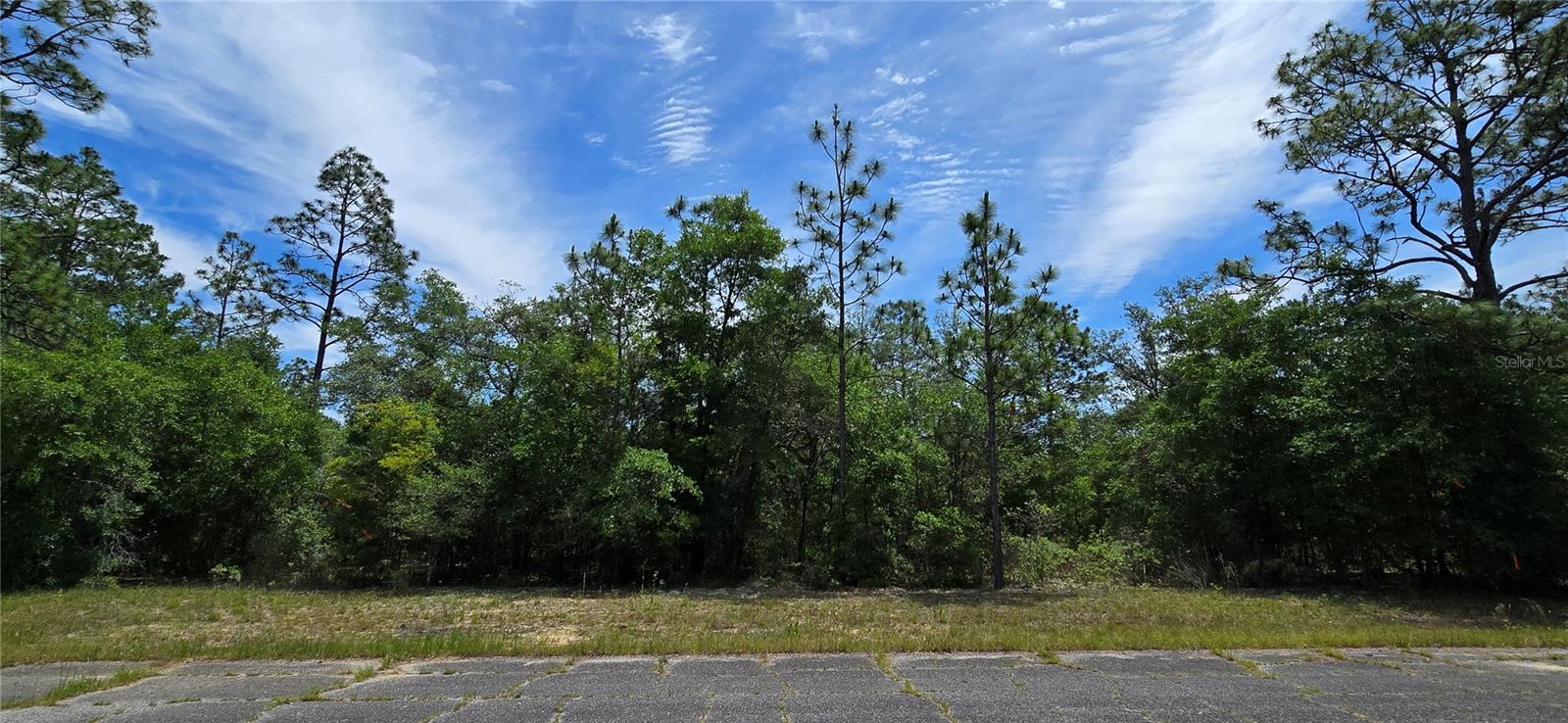 Photo of Lot 18 Unit 1 Blk 6 FUSION CIRCLE CHIPLEY FL 32428