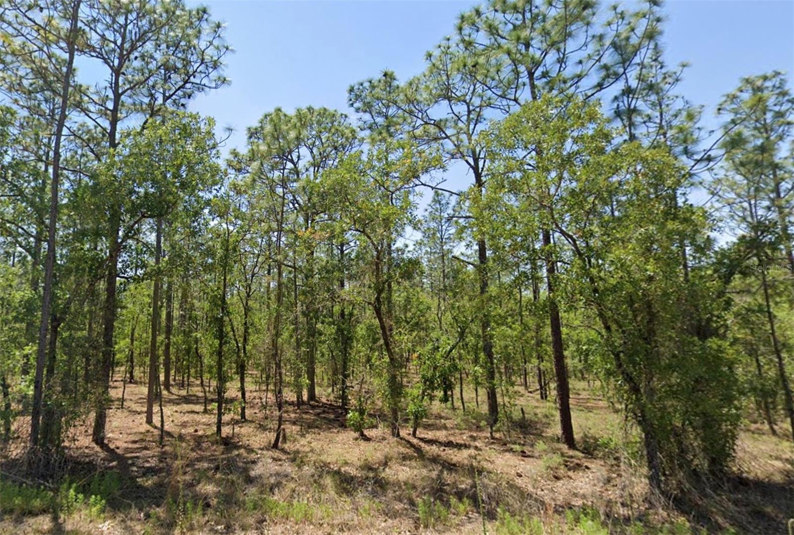 Photo of 00 NW NARCISSUS ROAD DUNNELLON FL 34431