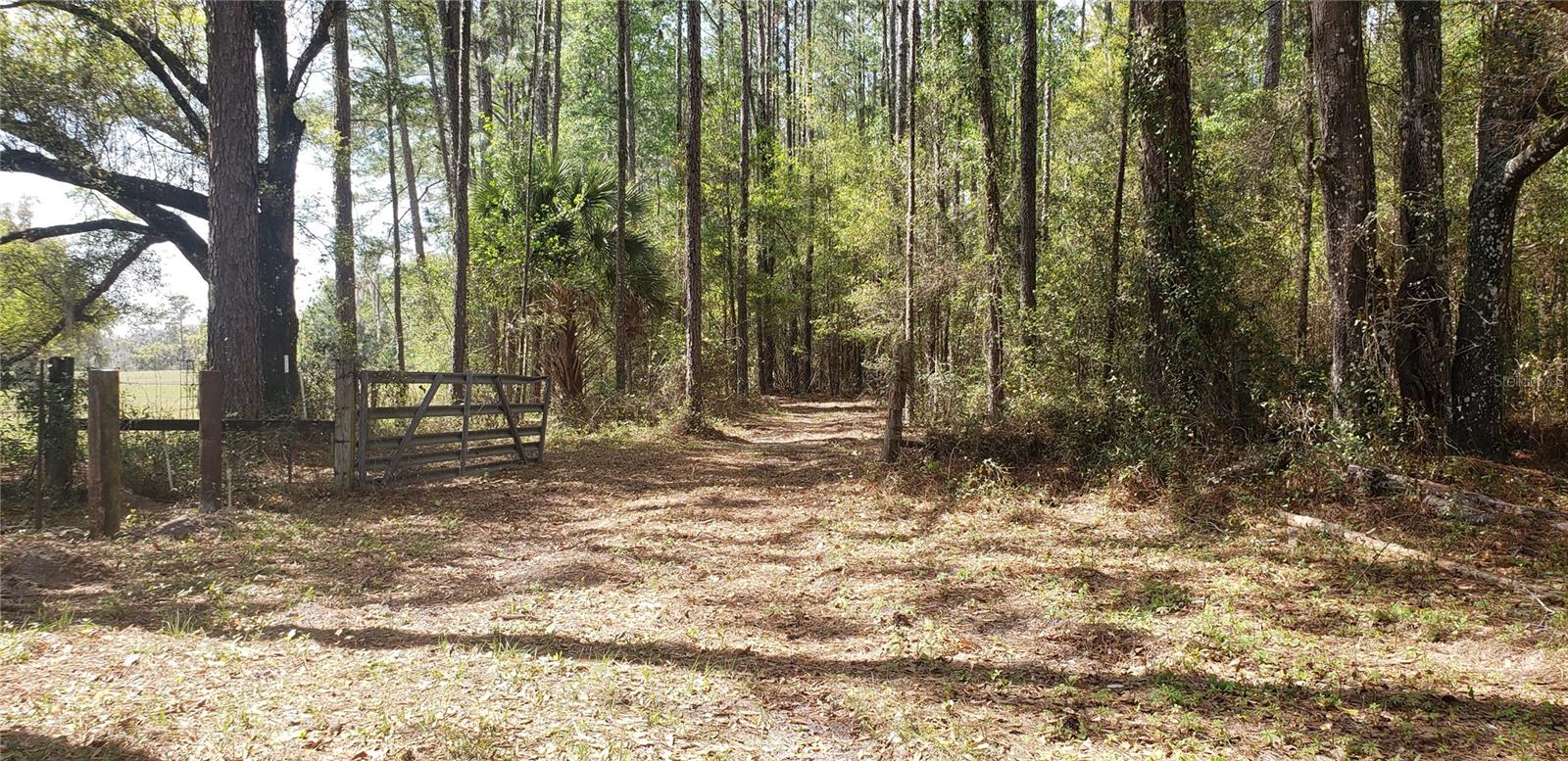 Photo of NW 115TH AVENUE REDDICK FL 32686